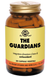 The Guardians (Solgar).png